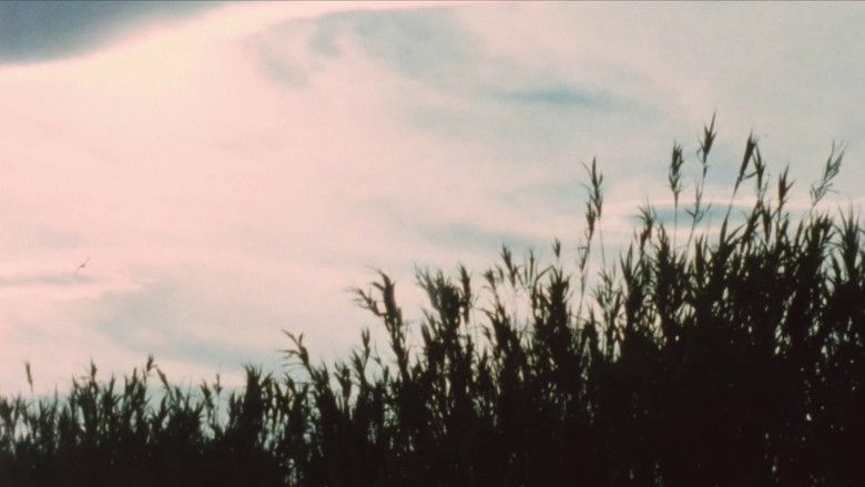 кадр из фильма Au sud