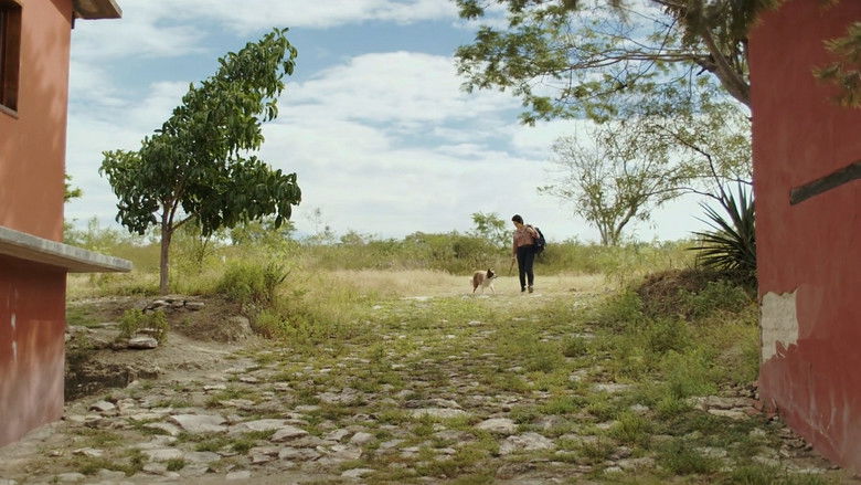 кадр из фильма XConfessions 33