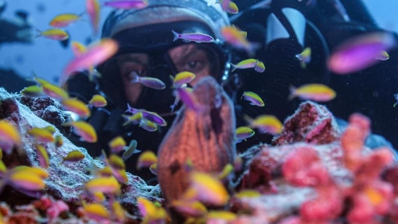 кадр из фильма Super Reefs