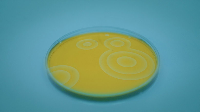 кадр из фильма Riproduzione Casuale