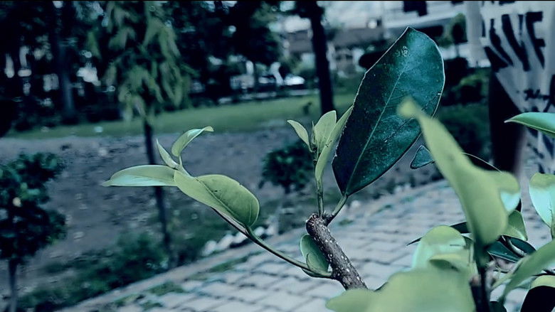 кадр из фильма STUDIE