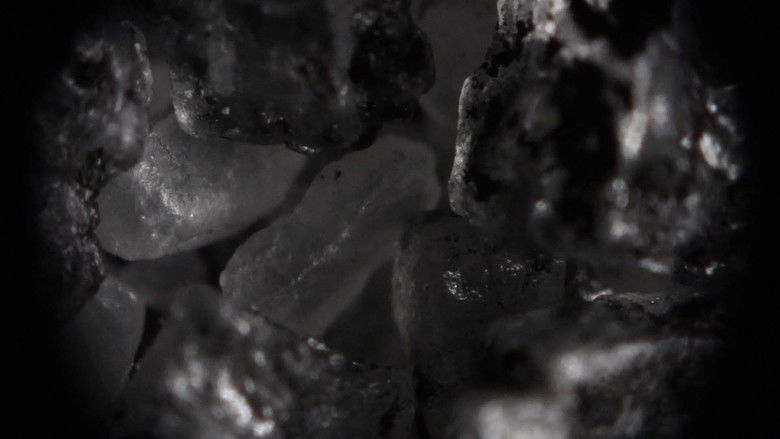 кадр из фильма sonic salt