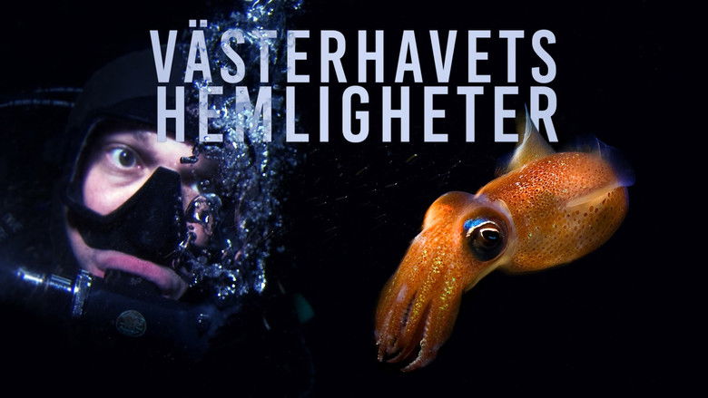 кадр из фильма Västerhavets Hemligheter