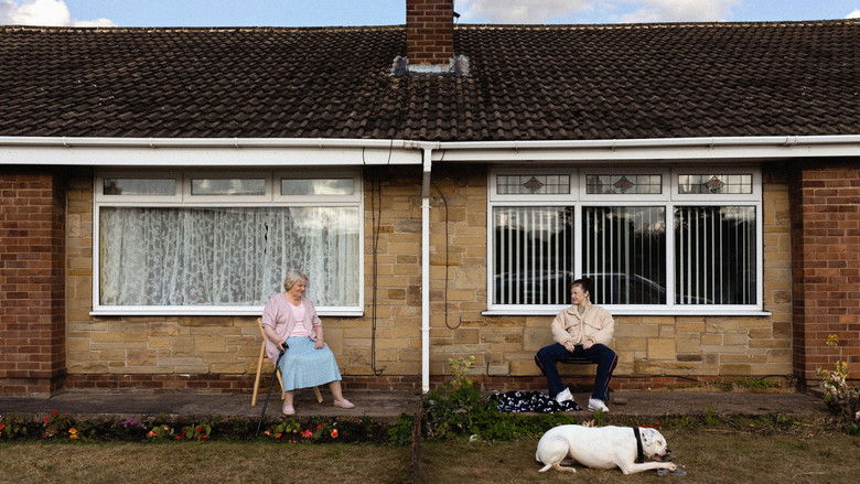 кадр из фильма Dragonfly