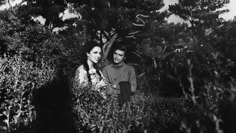 кадр из фильма Baharda Solan Çiçek