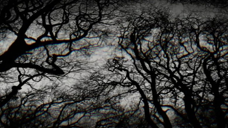 кадр из фильма OPERA MORTEM