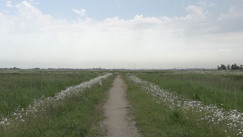 кадр из фильма Screaming