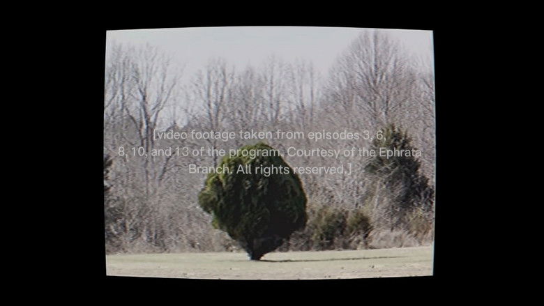 кадр из фильма The Boiled One Phenomenon