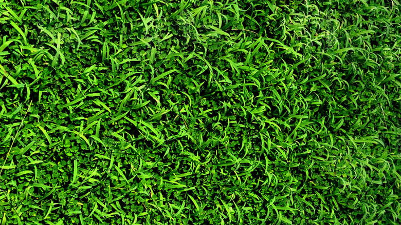 кадр из фильма Прекрасная зелёная