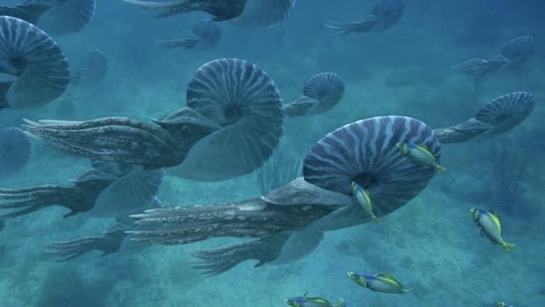 кадр из фильма Чудища морей 3D: Доисторическое приключение