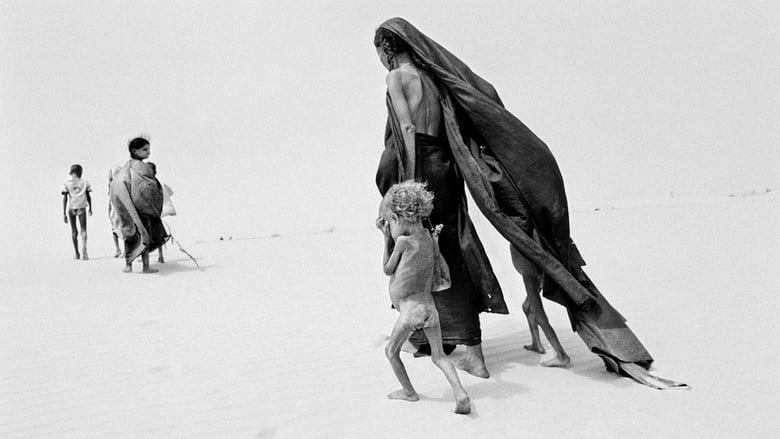 кадр из фильма Соль земли