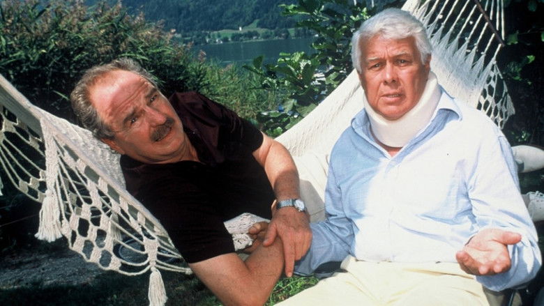 кадр из фильма Herzensfeinde