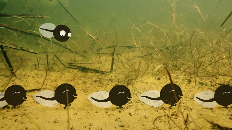 кадр из фильма Kuap