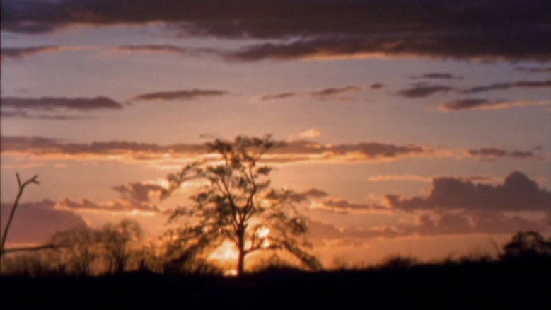 кадр из фильма Viajo Porque Preciso, Volto Porque Te Amo