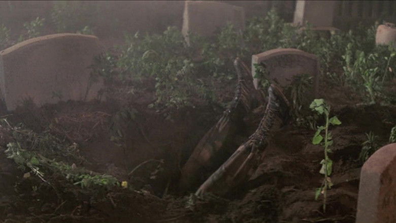 кадр из фильма Кинг Конг жив