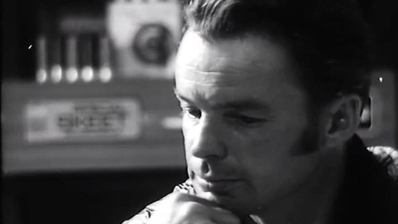 Я сказал тебе все