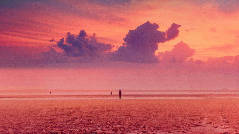 кадр из фильма The Almond and the Seahorse