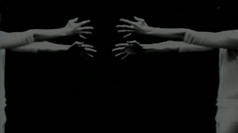 кадр из фильма Environmental Symmetry