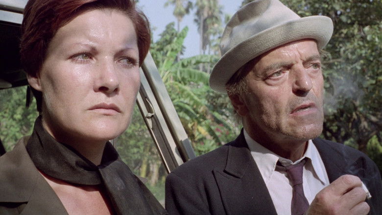 кадр из фильма Женщина в камере №9