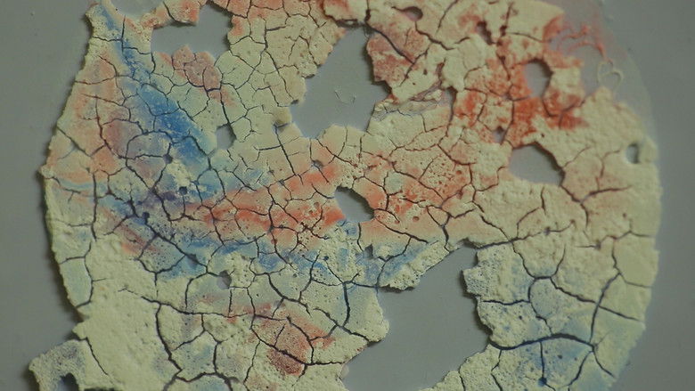 кадр из фильма The Separate System