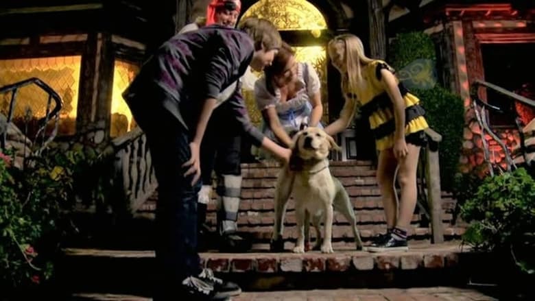 кадр из фильма Собака, которая спасла Хэллоуин