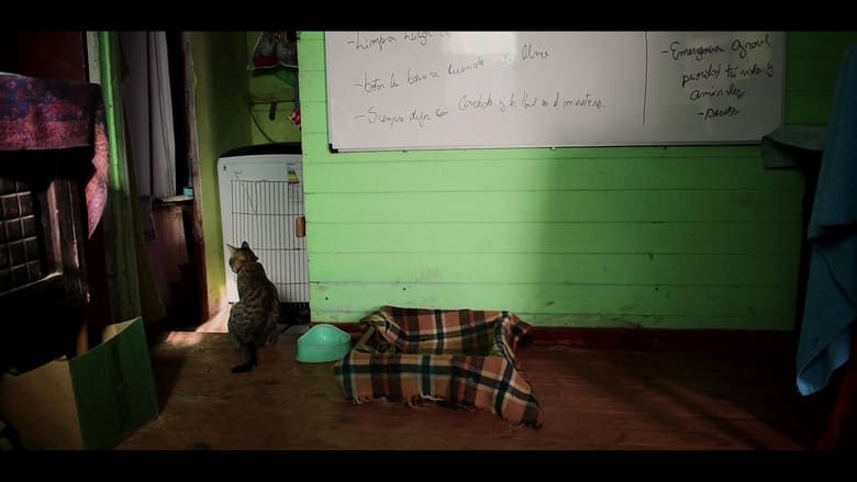 кадр из фильма experimento de tiempo y Trufas