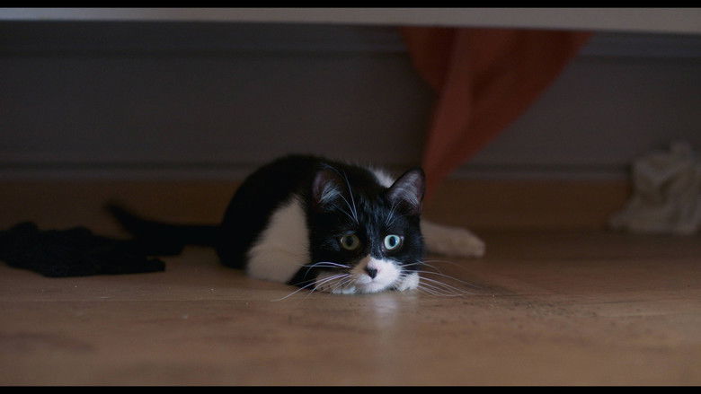 кадр из фильма J'ai tué votre chat
