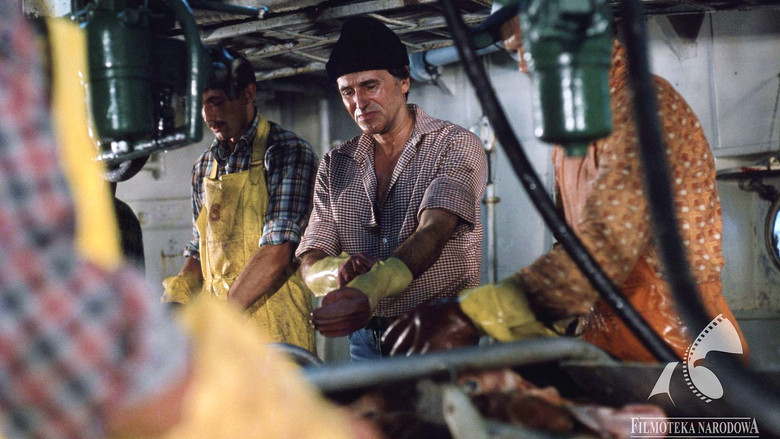 кадр из фильма Краб и Иоанна