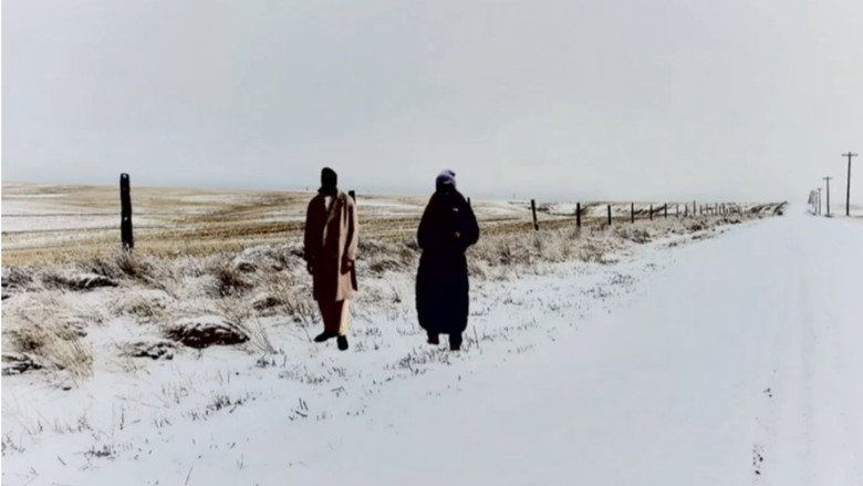 кадр из фильма George & Beverley