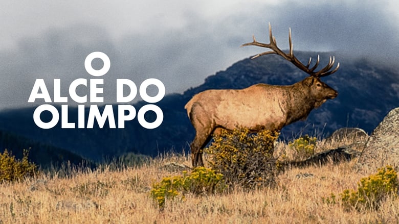 кадр из фильма The Olympic Elk