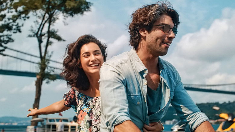 кадр из фильма Всё из-за любви