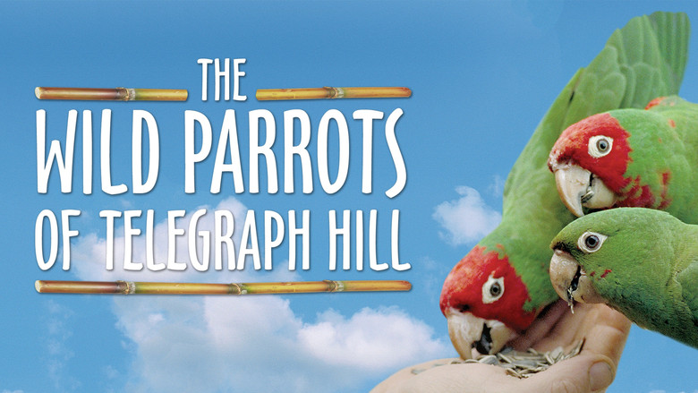 кадр из фильма The Wild Parrots of Telegraph Hill