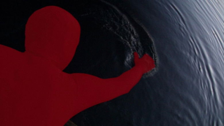 кадр из фильма I racconti dell'orso