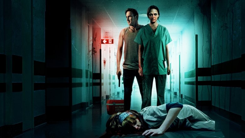 12-часовая смена