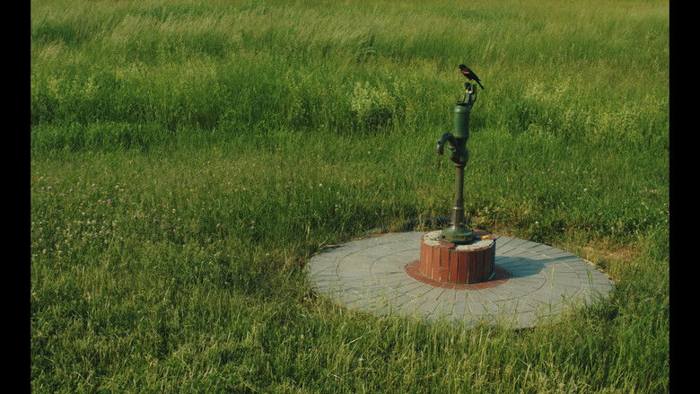 кадр из фильма Everything In This World Is Exactly What It Is