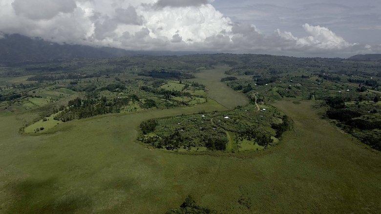 кадр из фильма Crazy Money