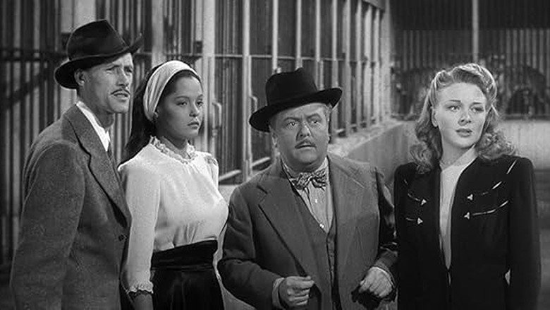 кадр из фильма Дикая пленница