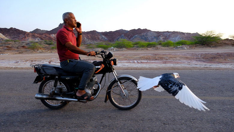 кадр из фильма Companion