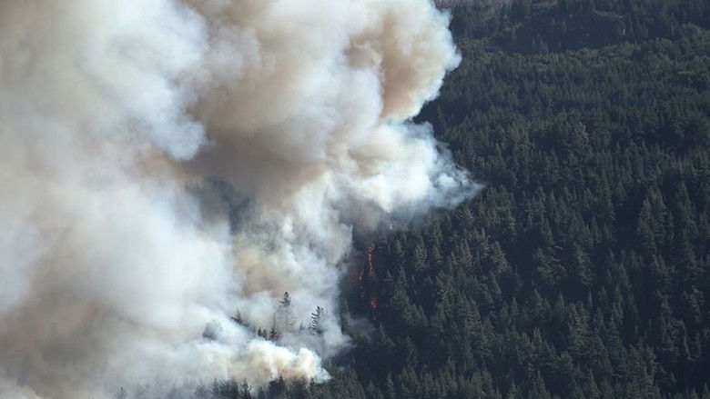 кадр из фильма Ecos del Fuego