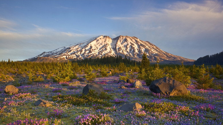 кадр из фильма The Eruption of Mount St. Helens!