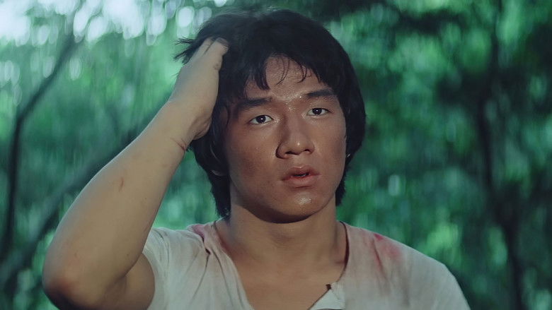 кадр из фильма Последнее испытание Шаолиня