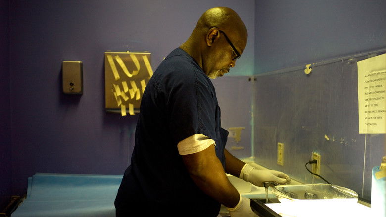 кадр из фильма Jackson