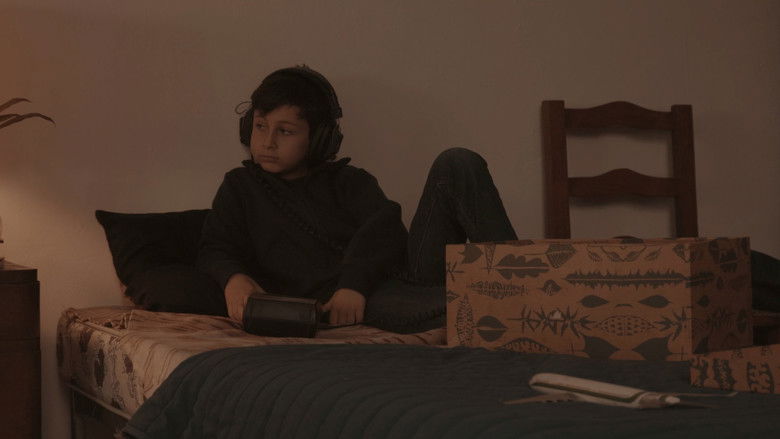 кадр из фильма Dulce Bellum Inexpertis