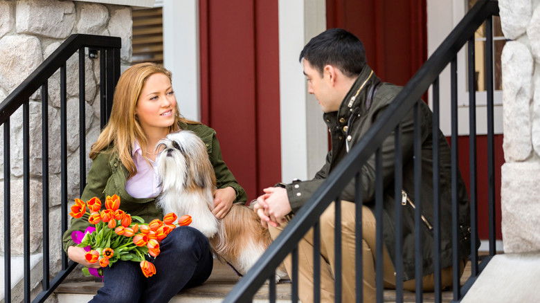 кадр из фильма Собаки моих бывших