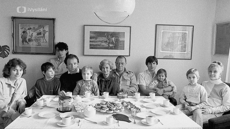 кадр из фильма Já, brácha a jméno Hrušínský