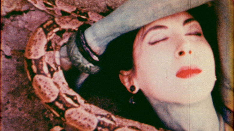 кадр из фильма Normal Love