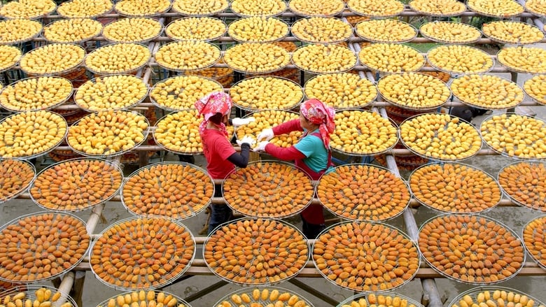 кадр из фильма 美力台灣3D