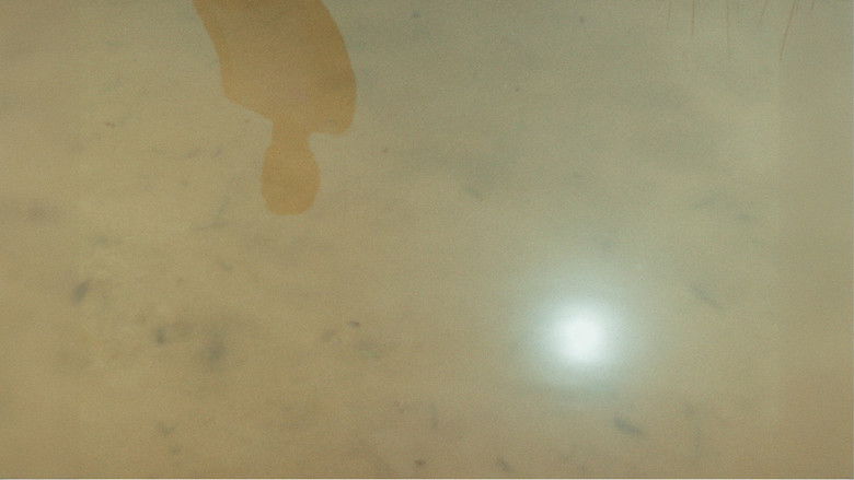 кадр из фильма Existir