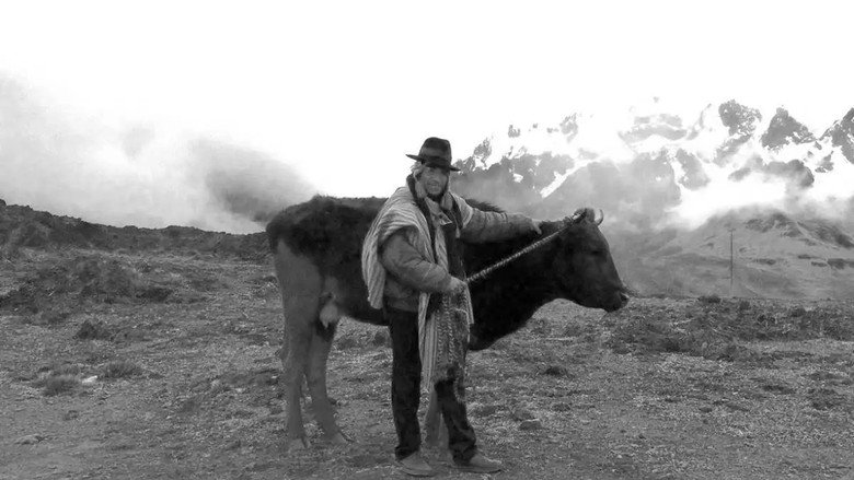 кадр из фильма Samichay