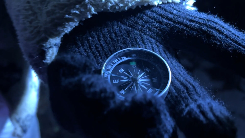 кадр из фильма Port Meadow